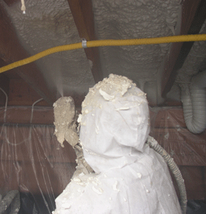  IL crawl space insulation